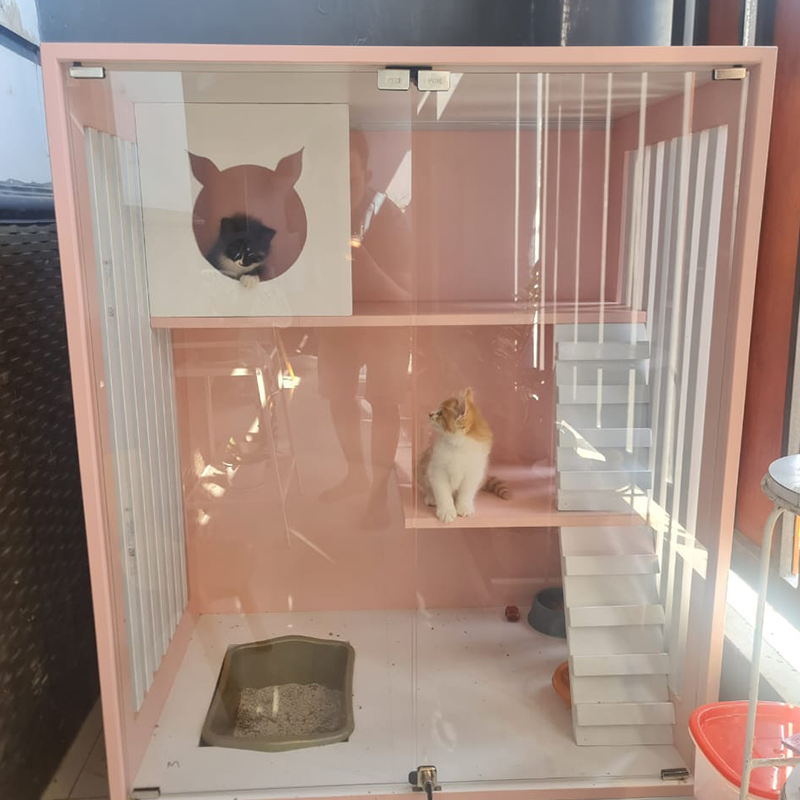 KANDANG KUCING — Desain Nyaman, Aman, dan Estetis untuk Hewan Kesayangan